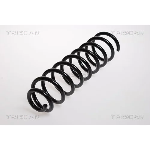 Pružina podvozku TRISCAN 8750 2554
