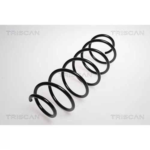 Pružina podvozku TRISCAN 8750 2896