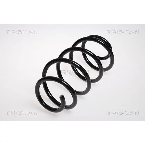 Pružina podvozku TRISCAN 8750 29145
