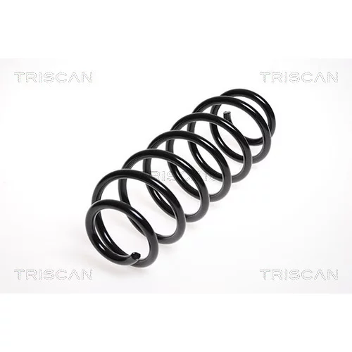 Pružina podvozku TRISCAN 8750 29172
