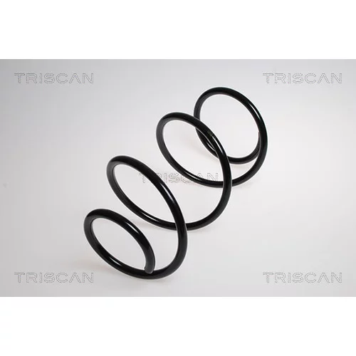 Pružina podvozku TRISCAN 8750 8014
