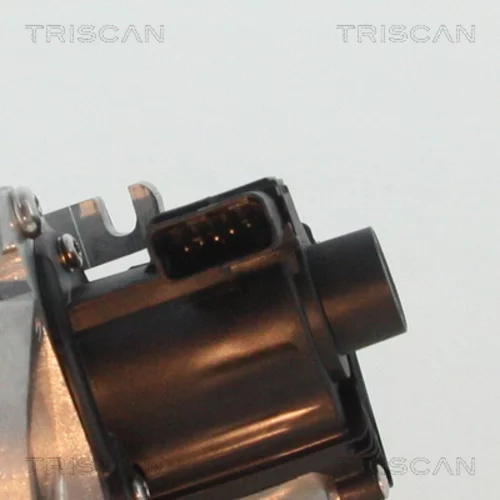 EGR ventil 8813 10007 /TRISCAN/ - obr. 1