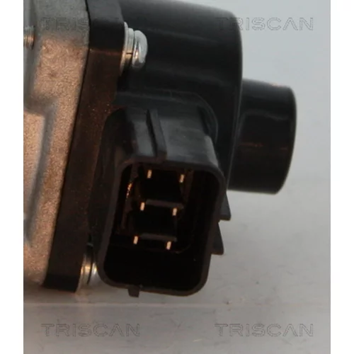 EGR ventil 8813 10014 /TRISCAN/ - obr. 3