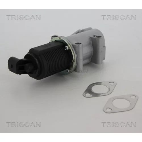 EGR ventil 8813 10015 /TRISCAN/ - obr. 2