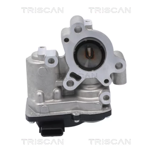 EGR ventil 8813 10056 /TRISCAN/ - obr. 2