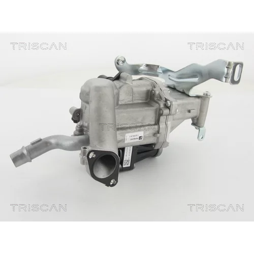 EGR ventil TRISCAN 8813 10103