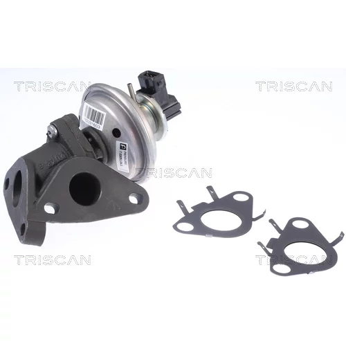 EGR ventil 8813 11010 /TRISCAN/ - obr. 2