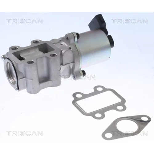 EGR ventil 8813 13100 /TRISCAN/ - obr. 2