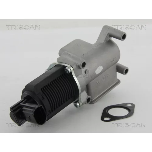 EGR ventil TRISCAN 8813 15063