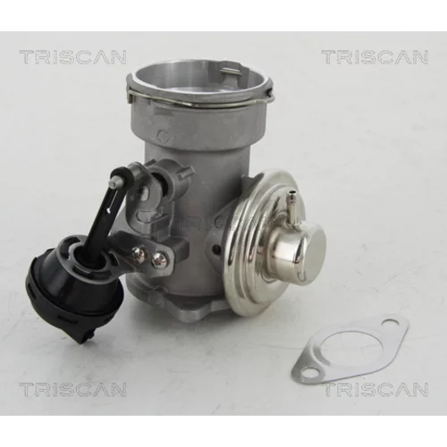 EGR ventil TRISCAN 8813 16023