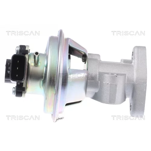 EGR ventil 8813 16069 /TRISCAN/ - obr. 3