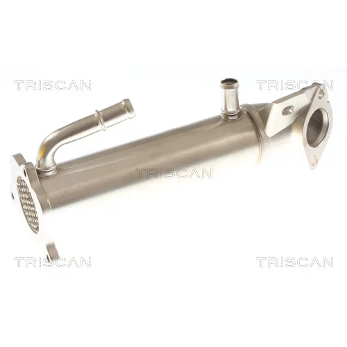 Chladič pre recirkuláciu plynov 8813 16117 /TRISCAN/ - obr. 1