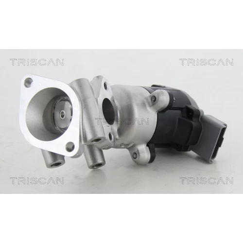 EGR ventil TRISCAN 8813 17016