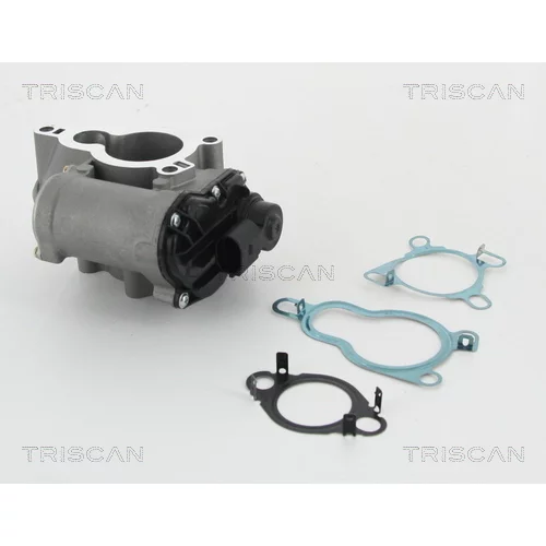 EGR ventil TRISCAN 8813 25010