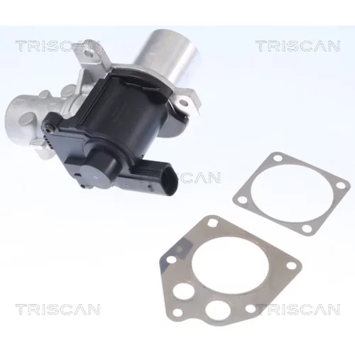 EGR ventil TRISCAN 8813 25036