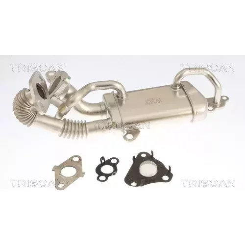 Chladič pre recirkuláciu plynov TRISCAN 8813 25049