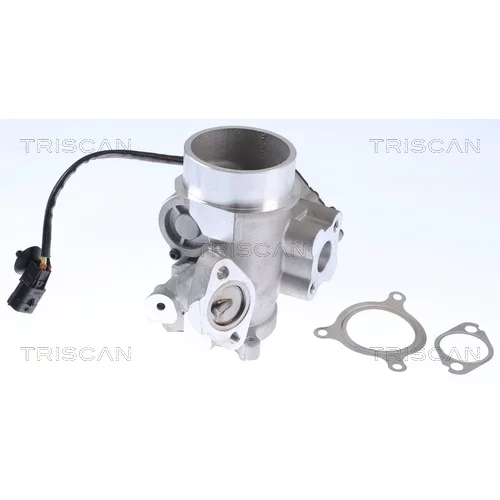 EGR ventil TRISCAN 8813 25200