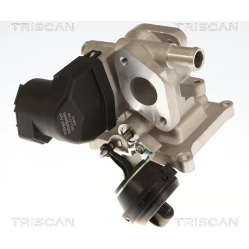 EGR ventil TRISCAN 8813 27106
