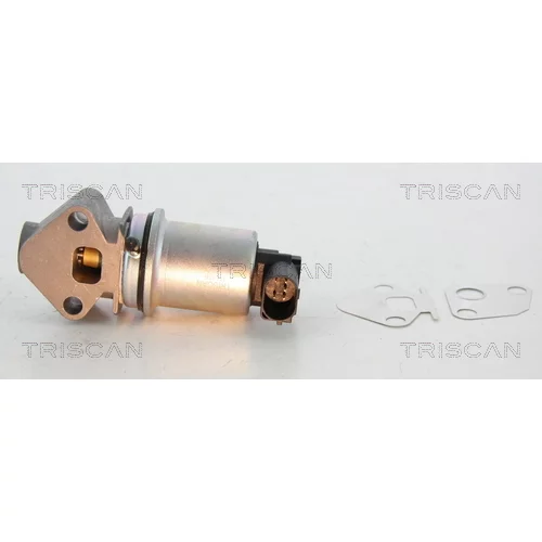 EGR ventil 8813 29024 /TRISCAN/ - obr. 1