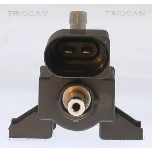 Menič tlaku, Riadenie výfukových plynov 8813 29099 /TRISCAN/ - obr. 1