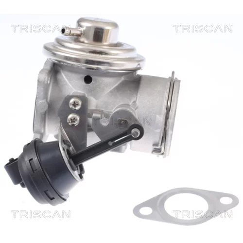 EGR ventil 8813 29308 /TRISCAN/ - obr. 1
