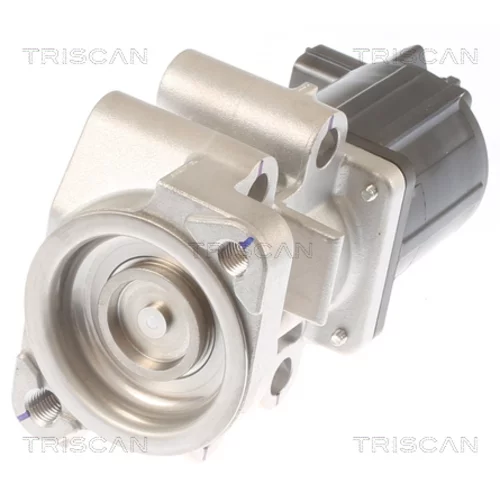 EGR ventil 8813 42001 /TRISCAN/ - obr. 2