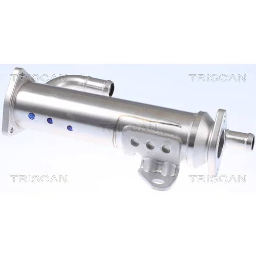 Chladič pre recirkuláciu plynov 8813 43105 /TRISCAN/ - obr. 1