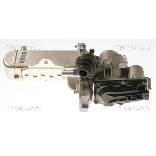 EGR ventil TRISCAN 8813 69102