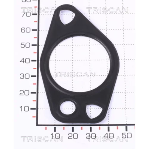 Tesnenie TRISCAN 8813 99133