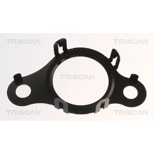 Tesnenie TRISCAN 8813 99191