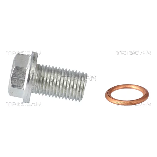 Skrutka olejovej vane 9500 1025 /TRISCAN/ - obr. 1