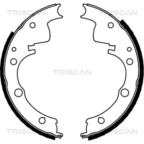 Sada brzdových čeľustí TRISCAN 8100 10436