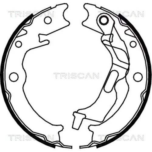 Sada brzdových čeľustí TRISCAN 8100 21001
