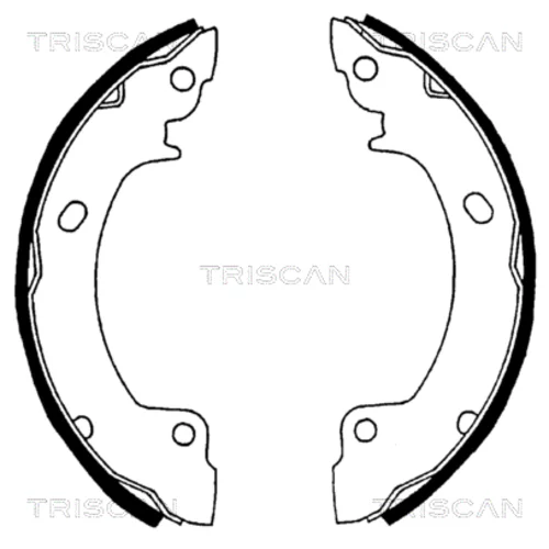 Sada brzdových čeľustí TRISCAN 8100 43529