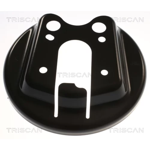 Ochranný plech proti rozstreku, Brzdový kotúč 8125 28209 /TRISCAN/ - obr. 1