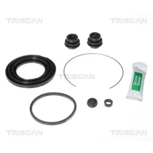 Opravná sada brzdového strmeňa TRISCAN 8170 205493