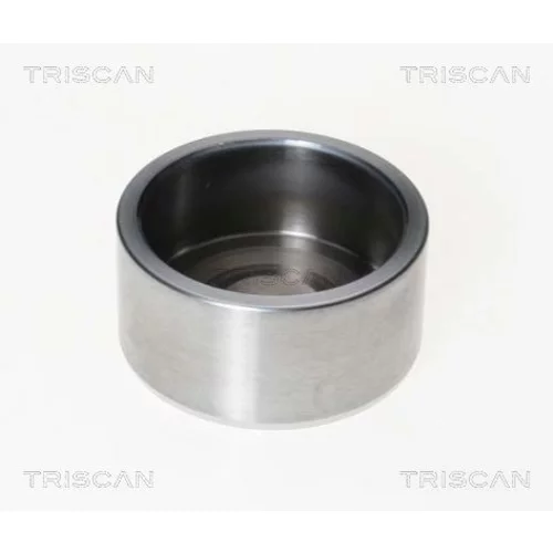 Piest brzdového strmeňa 8170 232141 /TRISCAN/