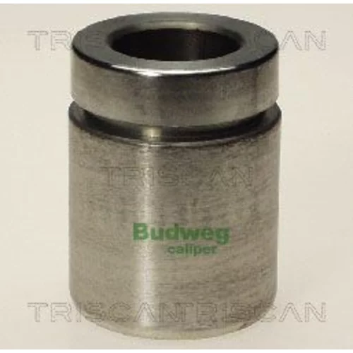 Piest brzdového strmeňa 8170 233824 /TRISCAN/