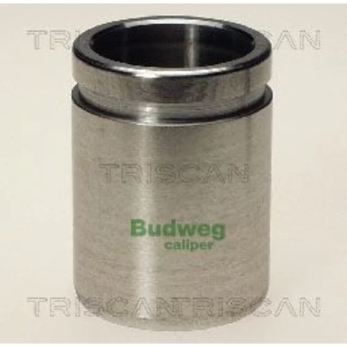 Piest brzdového strmeňa 8170 233833 /TRISCAN/