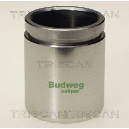 Piest brzdového strmeňa 8170 234208 /TRISCAN/