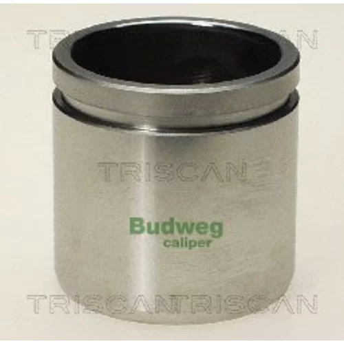 Piest brzdového strmeňa 8170 234509 /TRISCAN/
