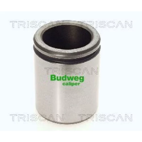 Piest brzdového strmeňa 8170 234606 /TRISCAN/
