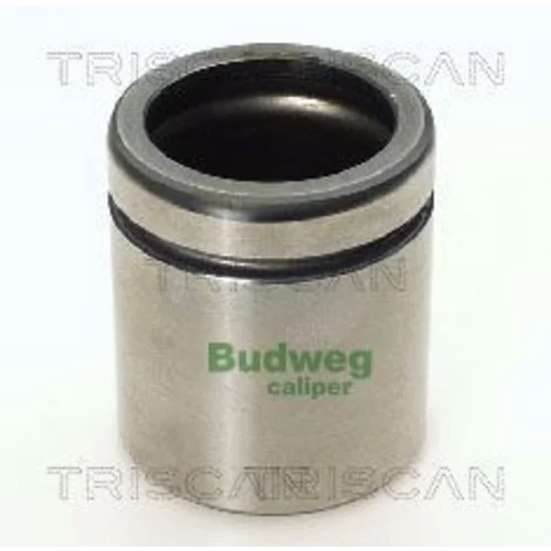 Piest brzdového strmeňa 8170 234854 /TRISCAN/