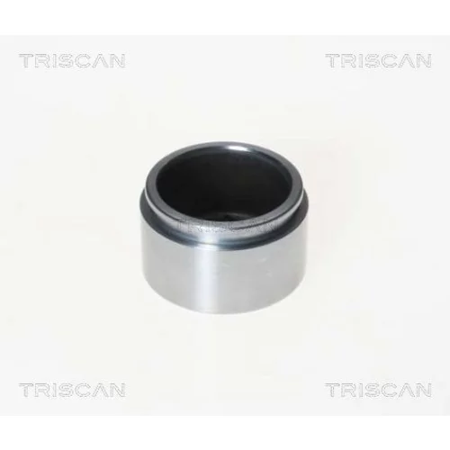 Piest brzdového strmeňa 8170 235122 /TRISCAN/