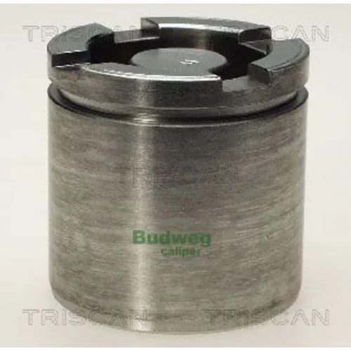 Piest brzdového strmeňa 8170 235459 /TRISCAN/