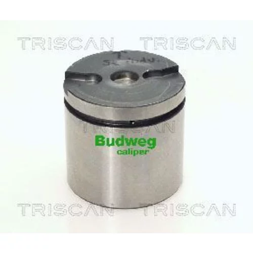 Piest brzdového strmeňa 8170 235473 /TRISCAN/