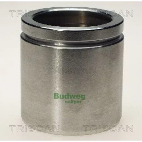Piest brzdového strmeňa 8170 235724 /TRISCAN/