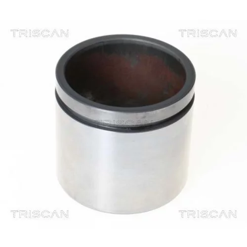 Piest brzdového strmeňa 8170 235739 /TRISCAN/