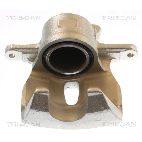Brzdový strmeň TRISCAN 8175 13138