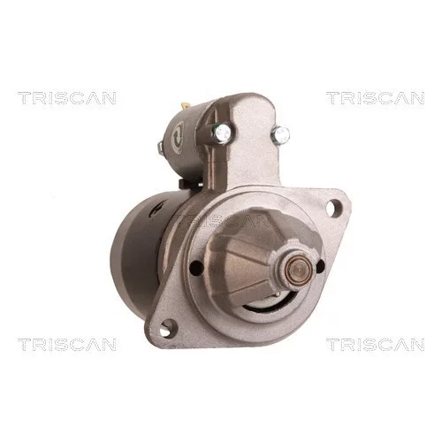 Štartér 8305 10062 /TRISCAN/ - obr. 7